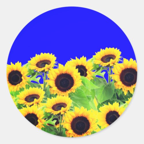 Ukraine Flag Colors Sunflowers Sticker _ Freedom