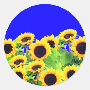 Ukraine Flag Colors Sunflowers Stickers - Freedom