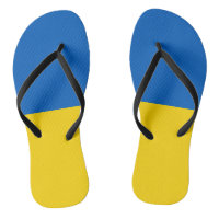 Ukraine Flag