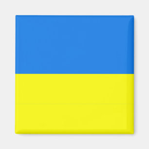 Ukraine Flag, Magnet