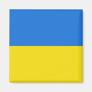 Ukraine Flag Magnet