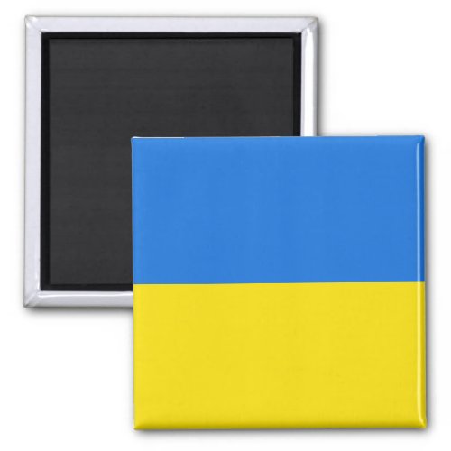 Ukraine Flag Magnet