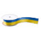 Ukraine Flag