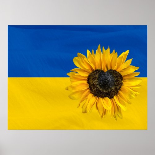 Ukraine Flag With Heart Sunflower Poster