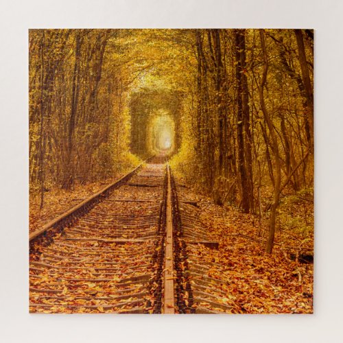Ukraine Forest Railway Tunnel of Love Landscape Po Jigsaw Puzzle
