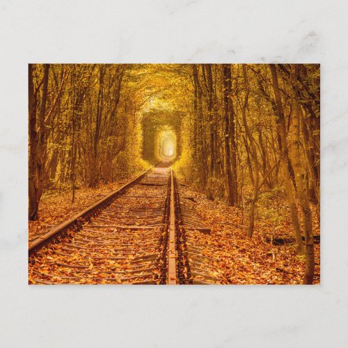Ukraine Forest Railway Tunnel of Love Landscape Po Postcard