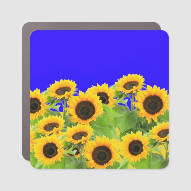 Ukraine Freedom Peace - Ukrainian Flag Sunflowers Car Magnet (Front)