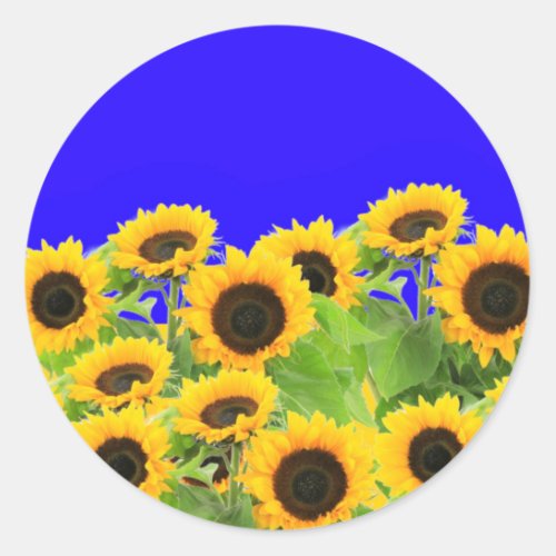 Ukraine Freedom Peace _ Ukrainian Flag Sunflowers  Classic Round Sticker