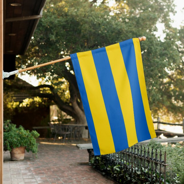 ukraine house flag (In SItu)