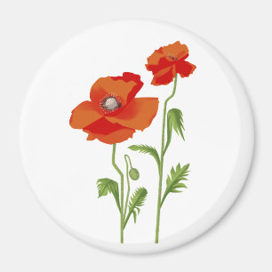 Ukraine "poppy flower" peace colorful magnet