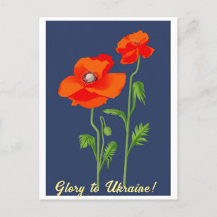 Ukraine "poppy flower" peace colorful postcard
