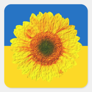 Ukraine Sunflower Sticker, Ukrainian Flag / Flower Square Sticker
