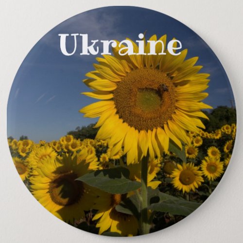Ukraine Support and Solidarity Button