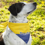 Ukraine Ukrainian Flag Custom Name Pet Bandana<br><div class="desc">You beloved dog can wear your family's national pride! This grunge style Ukrainian flag pet bandana is easy to personalize with your dog's name! With blue and yellow, your furry companion will certainly stand out in style. There are other flag dog bandanas in this shop, such as Mexico, Brazil, Australia,...</div>