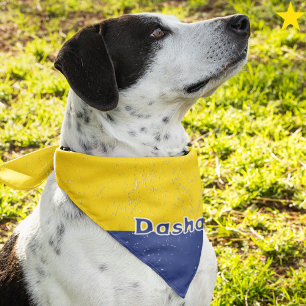 Ukraine Ukrainian Flag Custom Name Pet Bandana