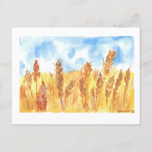 Ukraine Wheat Field original Watercolor drawing  Postcard