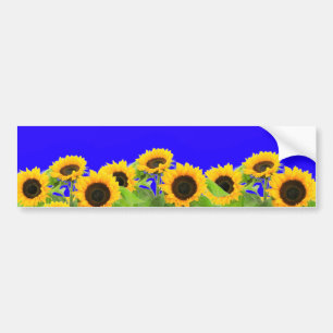 Ukrainian Flag Colors Sunflowers Bumper Stickers