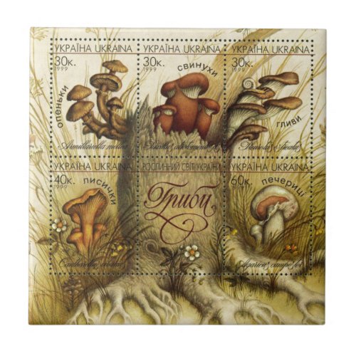 Ukrainian Hryb Mushroom Ceramic Tile