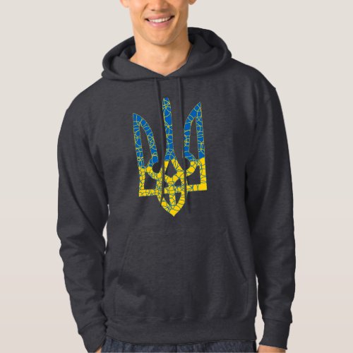 Ukrainian trident textured flag of Ukraine colors Hoodie