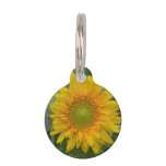 Ukranian Sunflowers Pet Tag