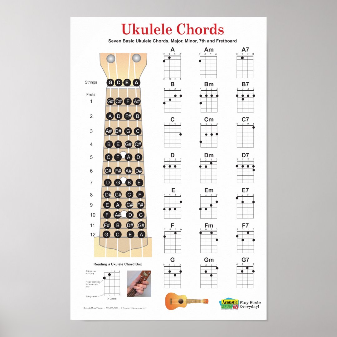 Ukulele Chords Finger Chart and Fretboard Poster Zazzle