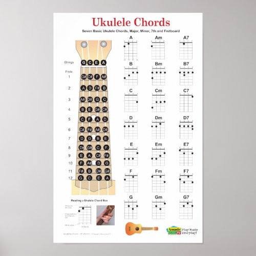 Ukulele Chords Finger Chart and Fretboard Poster
