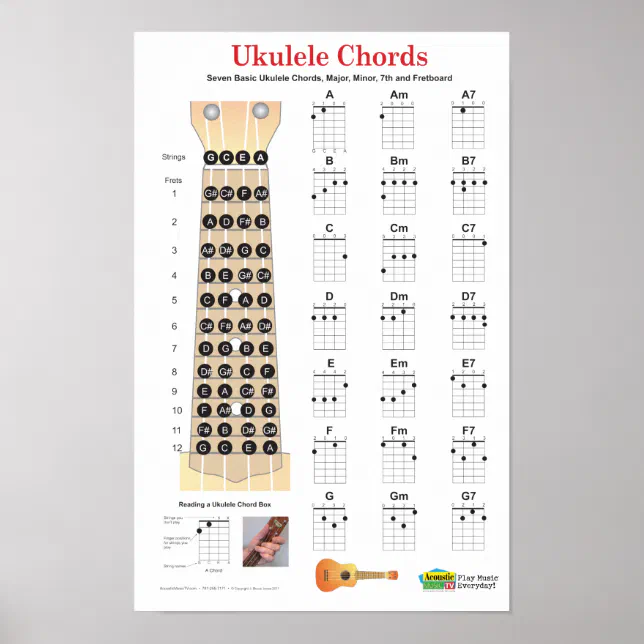 Ukulele Chords Finger Chart and Fretboard Poster | Zazzle