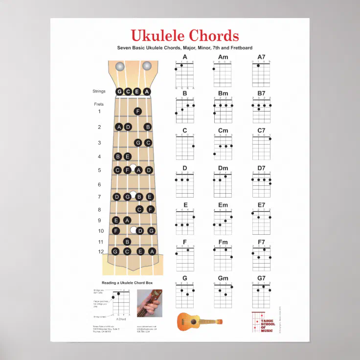 UKULELE FRETBOARD CHORD CHART POSTER UKELELE UKE MUSIC EDUCATIONAL Set No.1 