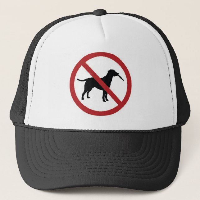 Ultimate Frisbee Trucker Hat (Front)