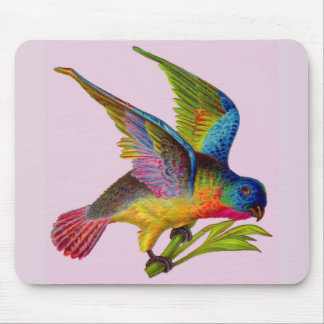 ultra colorful Victorian bird  Mouse Pad