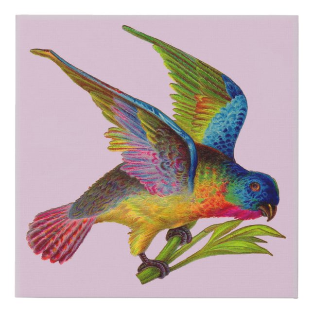 ultra colorful Victorian bird print (Front)