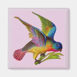 ultra colorful Victorian bird print Magnet