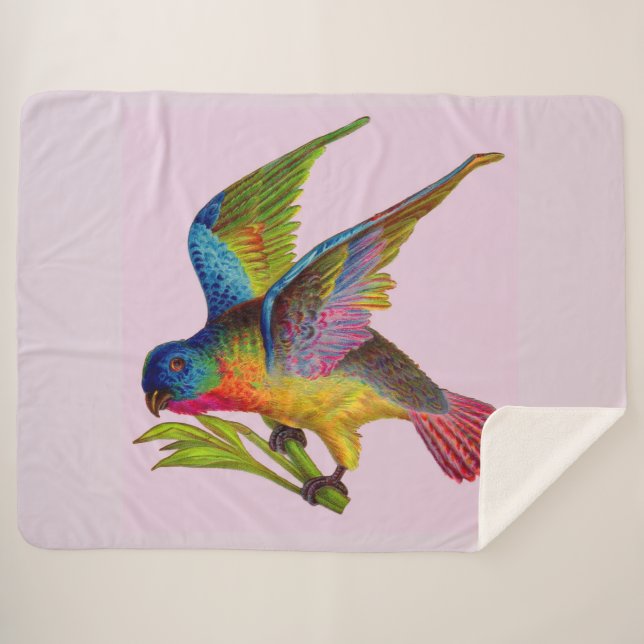 ultra colorful Victorian bird print Sherpa Blanket (Front (Horizontal))