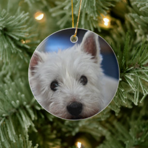 Ultra Cute Pestice Westie Terrier Ceramic Ornament