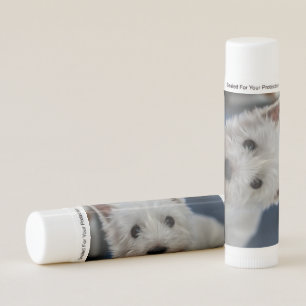 Ultra Cute Pestie Westie Terrier Lip Balm
