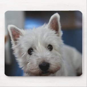 Ultra Cute Pestie Westie White Terrier Mouse Pad