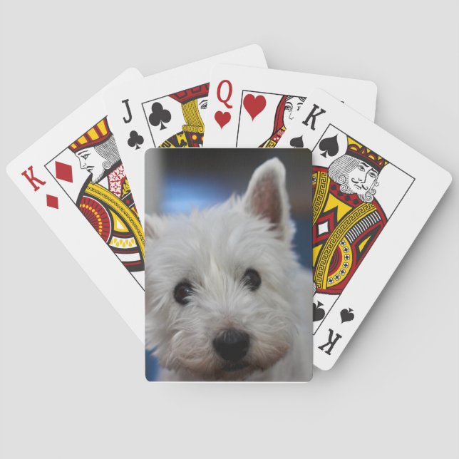 Ultra Cute Pestie Westie White Terrier Poker Cards (Back)