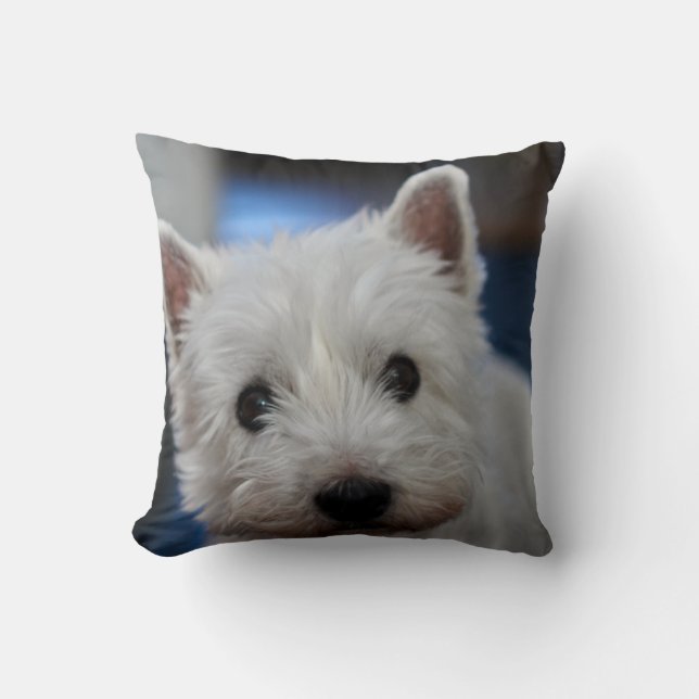 Ultra Cute Pestie Westie White Terrier Throw Pillow (Front)