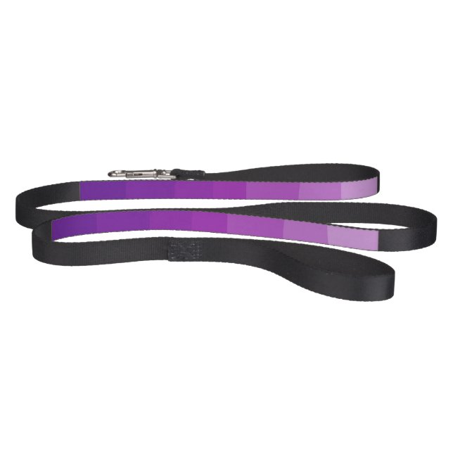 Ultra Violet Ombre Dog Leash (Full)