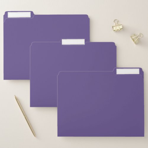 Ultra Violet Purple Solid Color File Folder