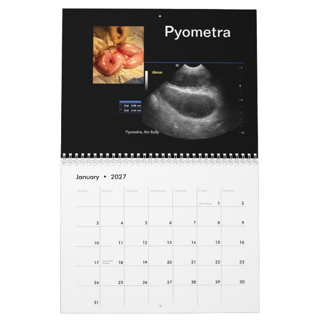 Ultrasound Images Calendar (Jan 2027)