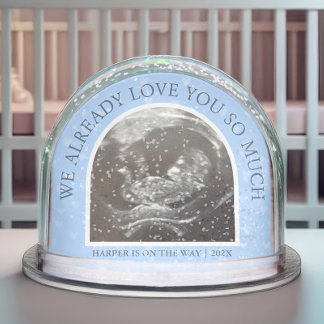 Ultrasound We Love You Already Keepsake Snow Globe