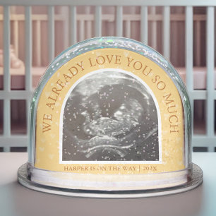 Ultrasound We Love You Already Keepsake Snow Globe