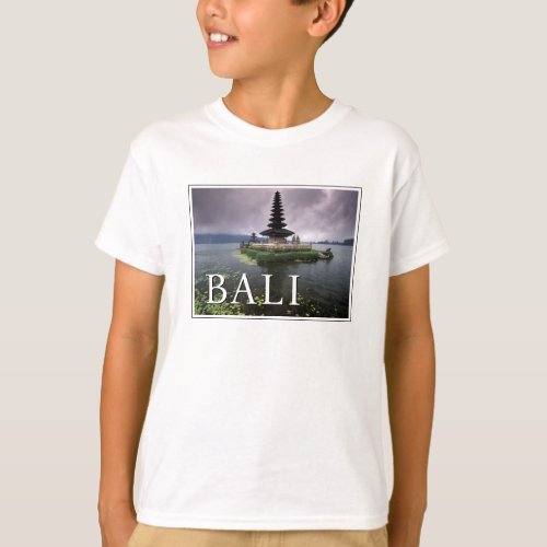 Ulun Danu Temple  Bali Indonesia T_Shirt