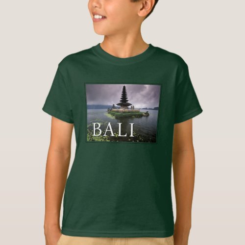 Ulun Danu Temple  Bali Indonesia T_Shirt