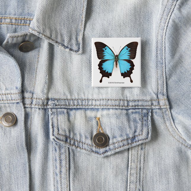 Ulysses Butterfly Button (In Situ)