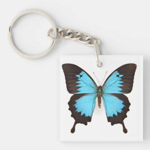 Ulysses Butterfly Keychain