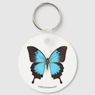 Ulysses Butterfly Keychain