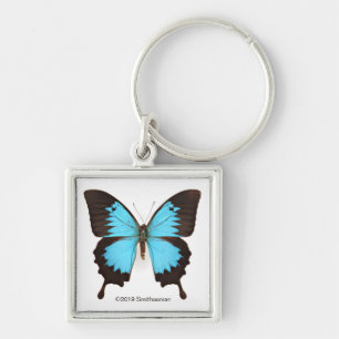Ulysses Butterfly Keychain