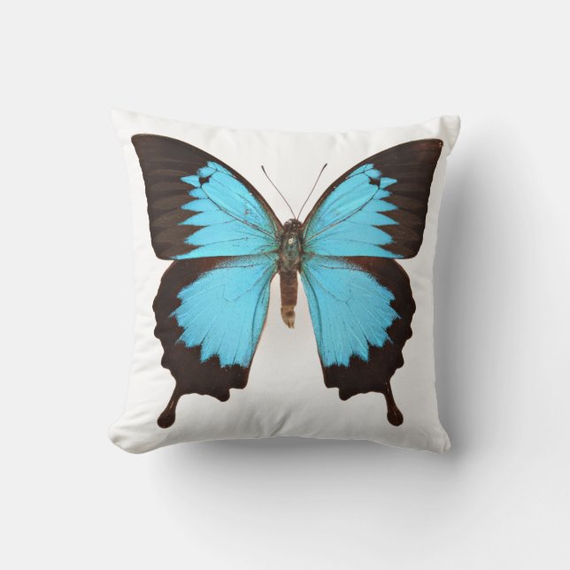 Ulysses Butterfly Throw Pillow (Front)
